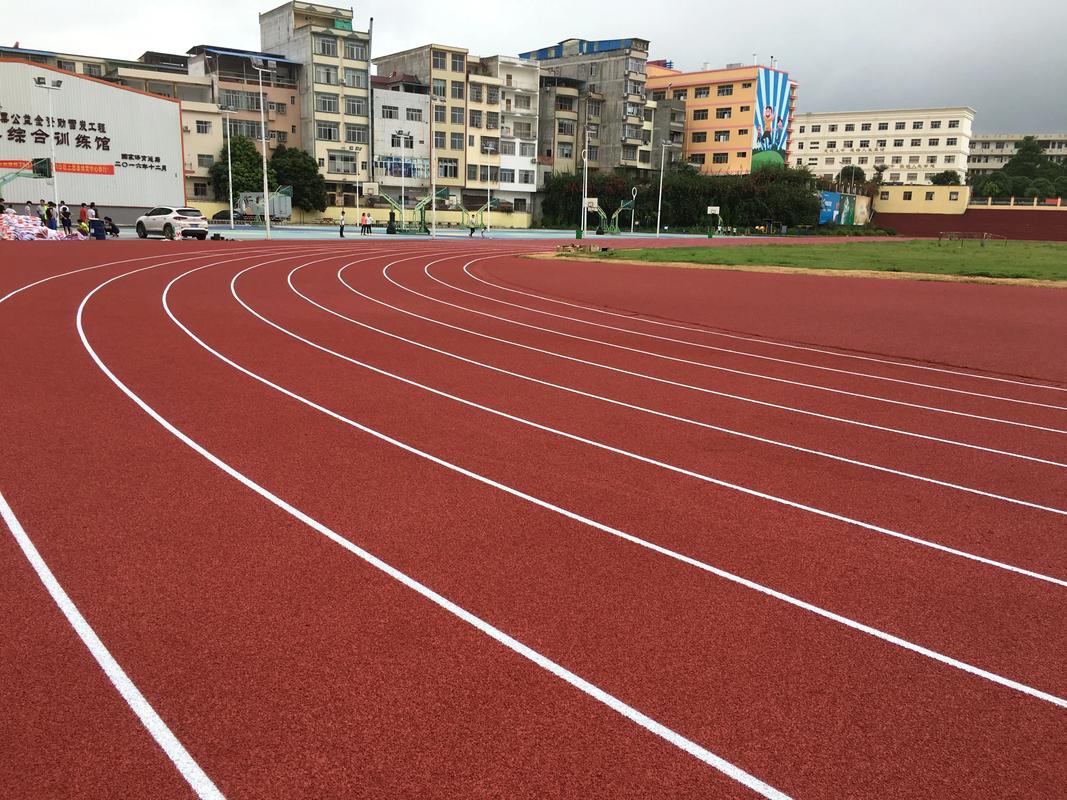湛江市学校塑胶跑道塑胶跑道材料 - 厂家